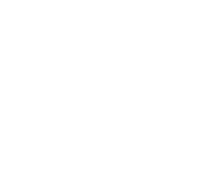 Milli Teknoloji Hamlesi